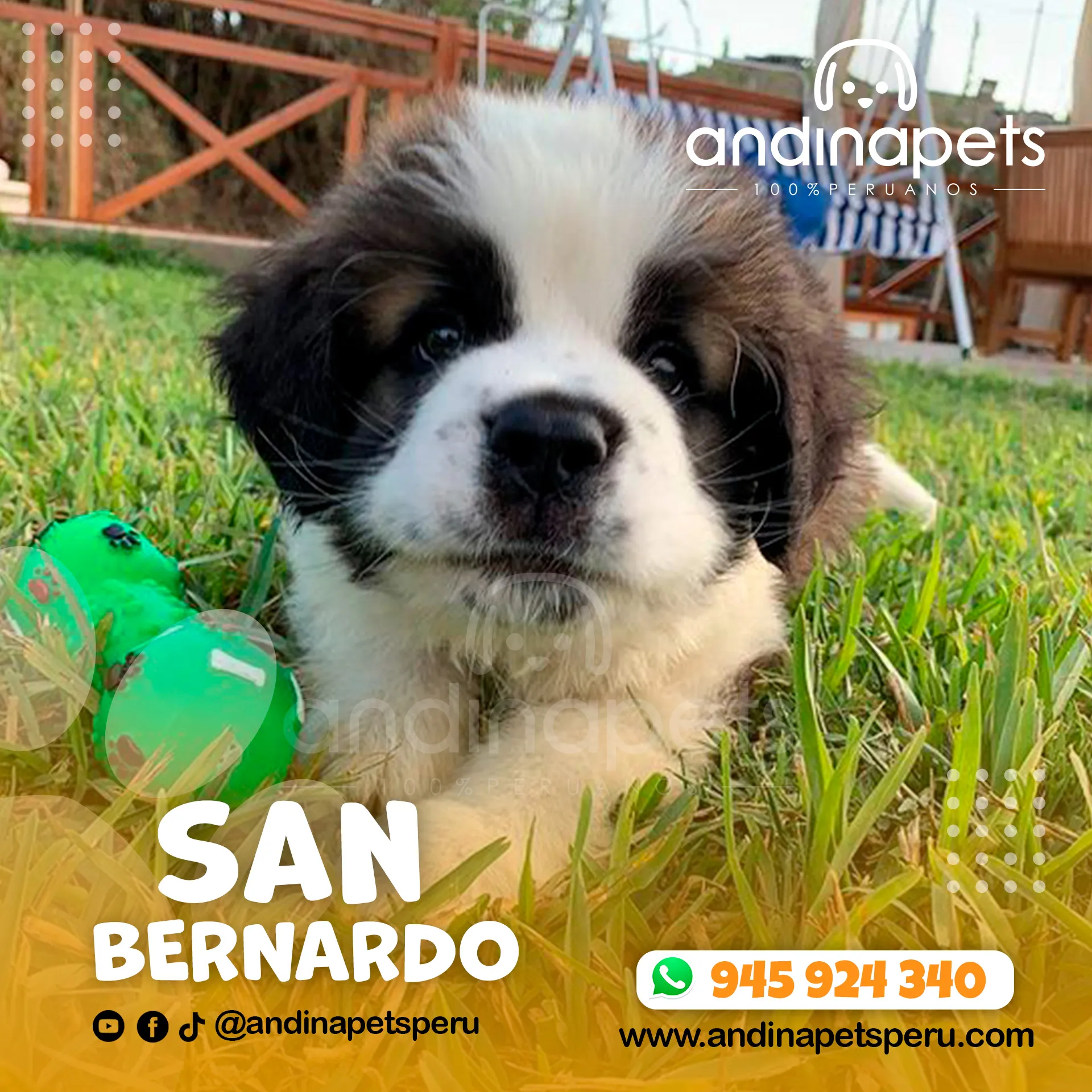 SAN BERNARDO - Imagen 5